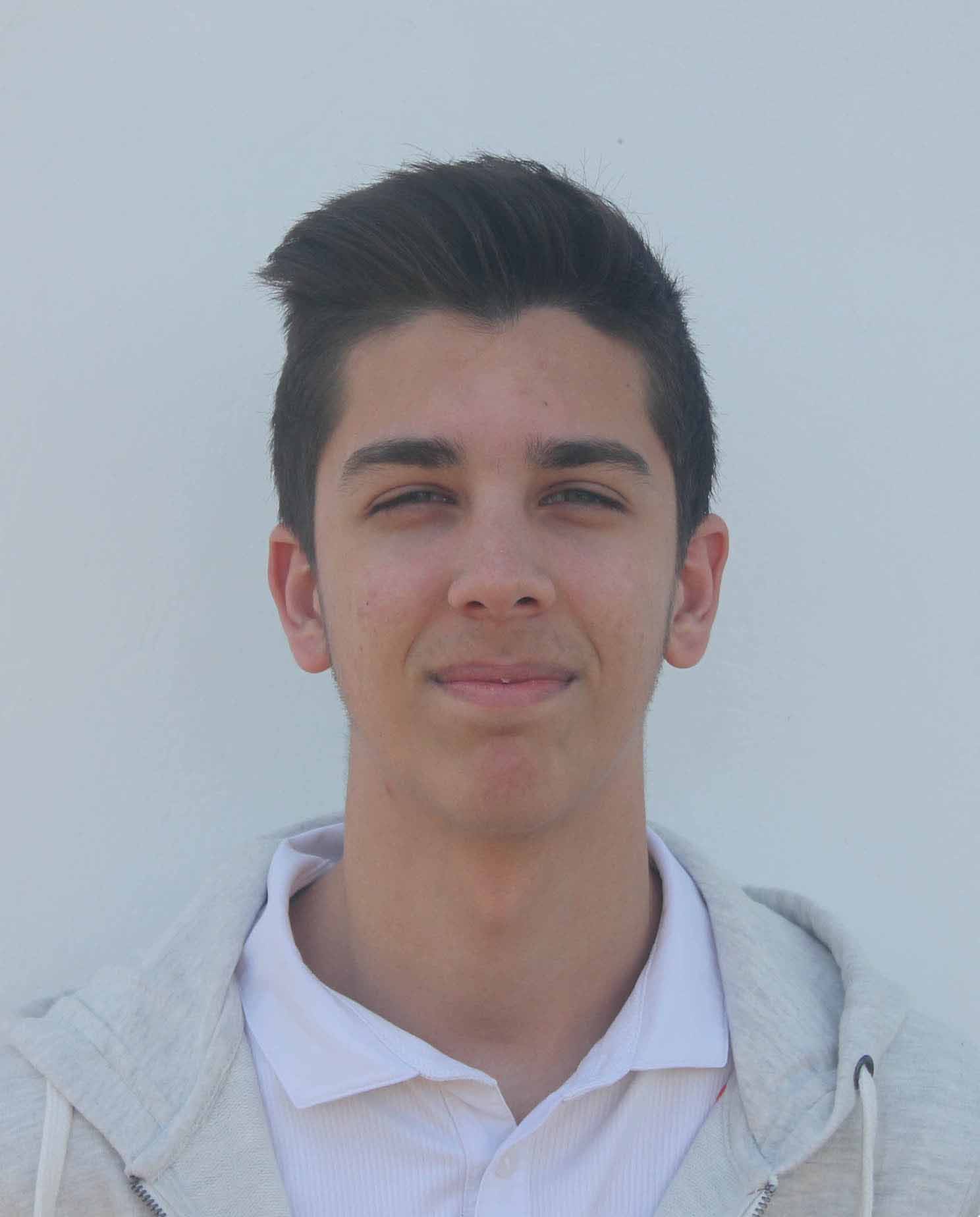 saner aniz